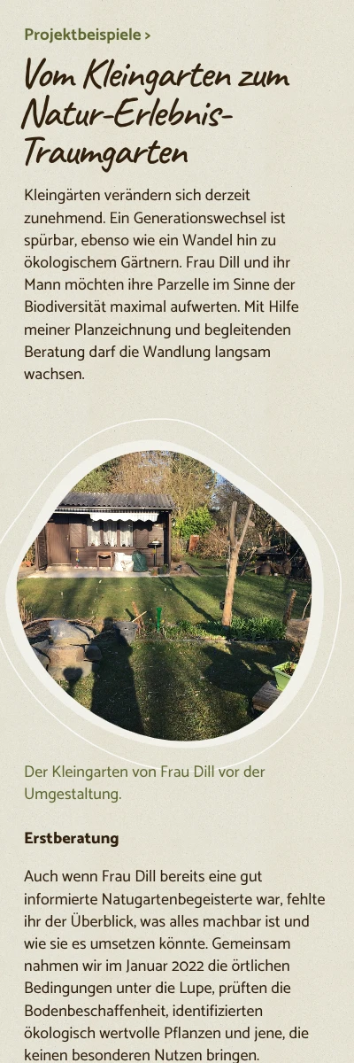 Screenshot der Website für Barbara Stark auf dem Smartphone