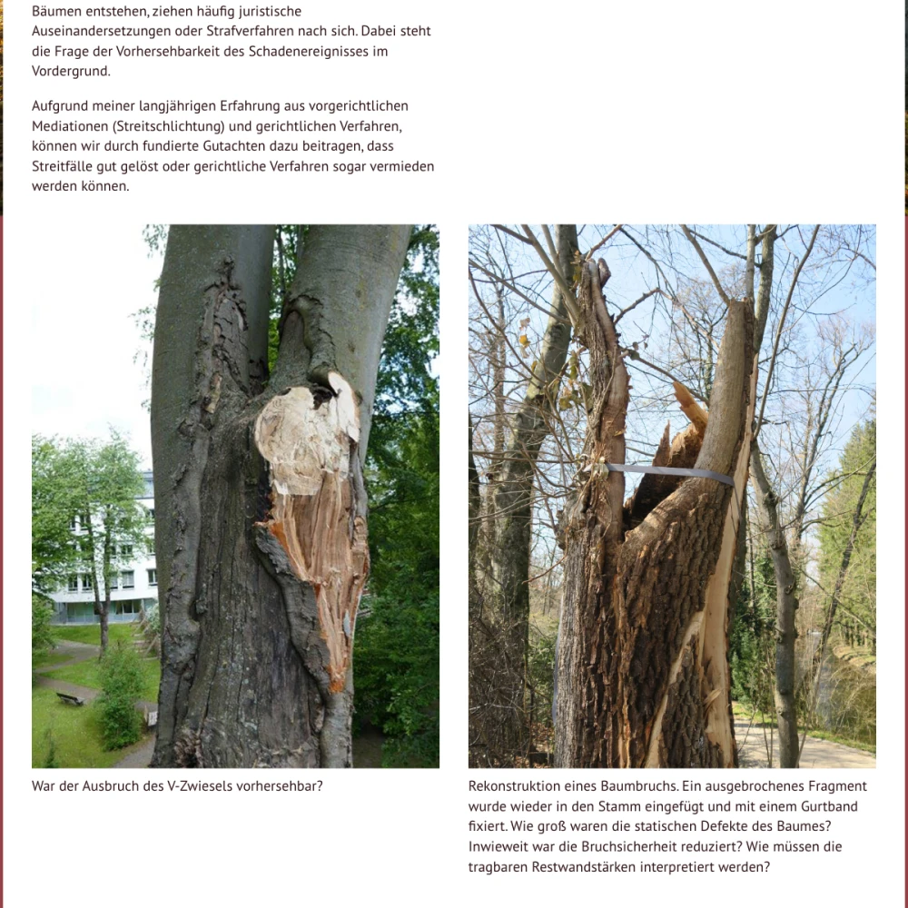 Screenshot der Website für Baumprofi auf dem Tablet