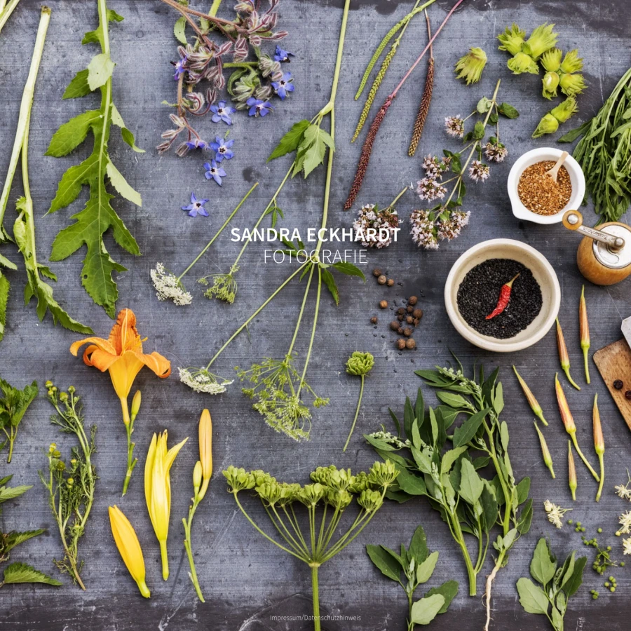 Screenshot der Website für Sandra Eckhardt